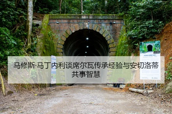 马修斯·马丁内利谈席尔瓦传承经验与安切洛蒂共事智慧